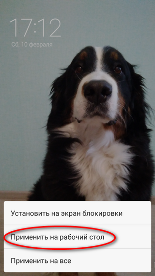 Выбор варианта фотографии Установка фотографии в качестве заставки