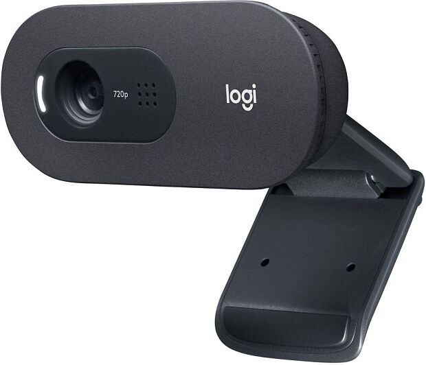 Веб-камера Logitech  Webcam C505e Black - 1